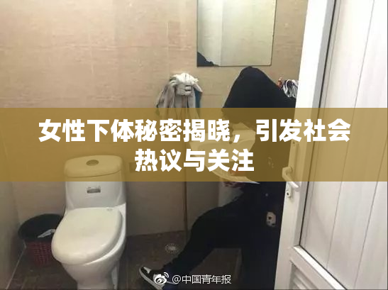 女性下体秘密揭晓，引发社会热议与关注