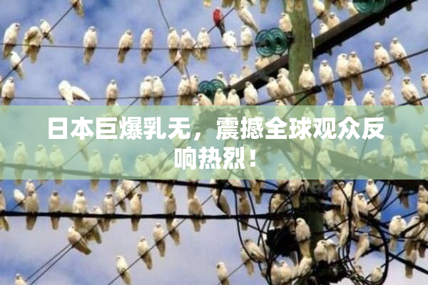 日本巨爆乳无，震撼全球观众反响热烈！