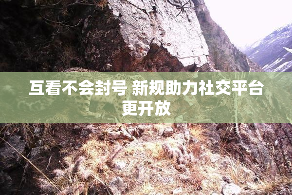 互看不会封号 新规助力社交平台更开放
