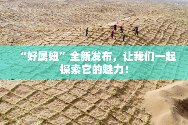 “好属妞”全新发布，让我们一起探索它的魅力！