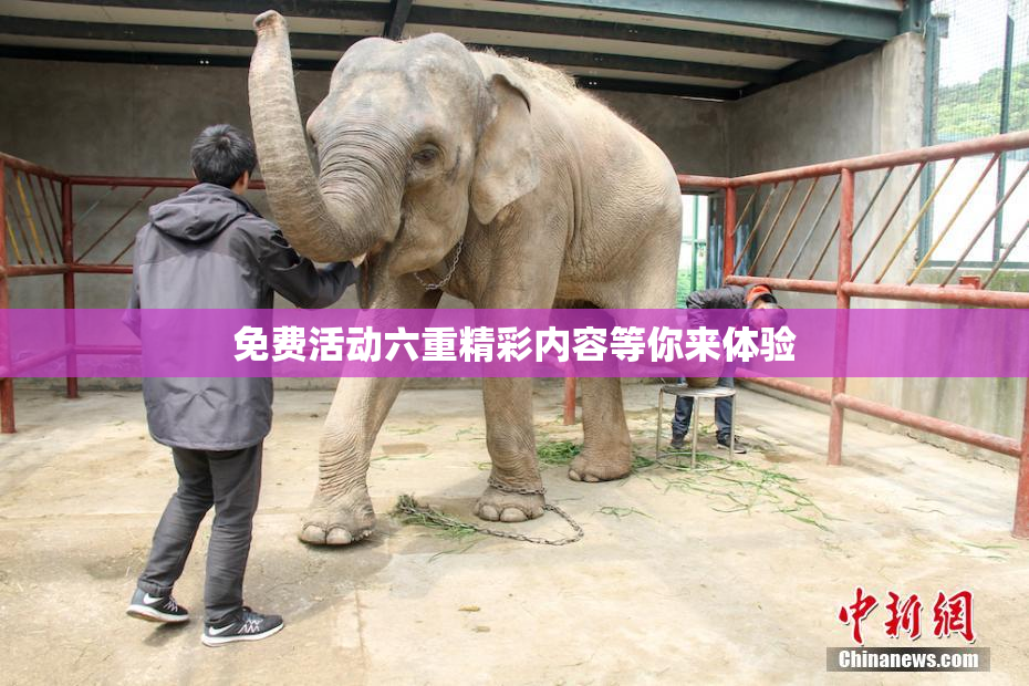 免费活动六重精彩内容等你来体验