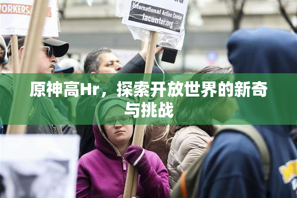 原神高Hr，探索开放世界的新奇与挑战