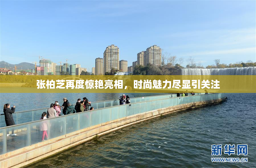 张柏芝再度惊艳亮相，时尚魅力尽显引关注
