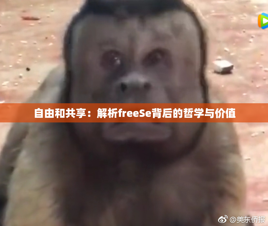 自由和共享：解析freeSe背后的哲学与价值