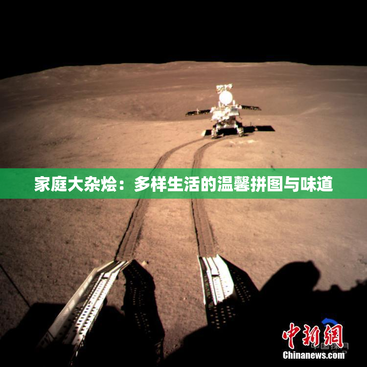 家庭大杂烩：多样生活的温馨拼图与味道