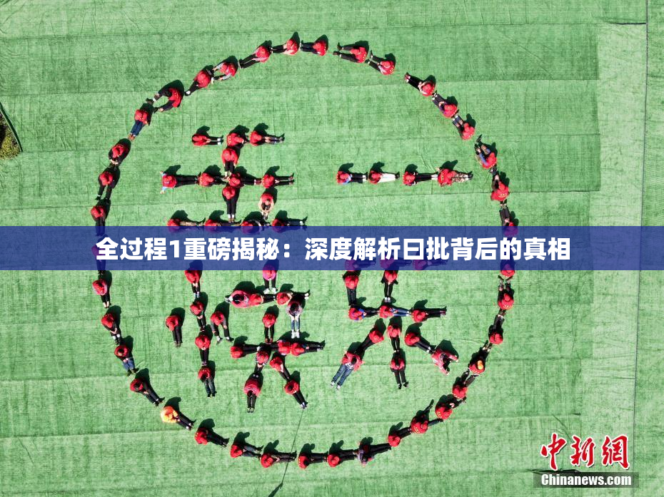 全过程1重磅揭秘：深度解析曰批背后的真相
