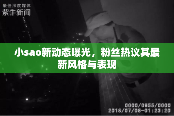 小sao新动态曝光，粉丝热议其最新风格与表现