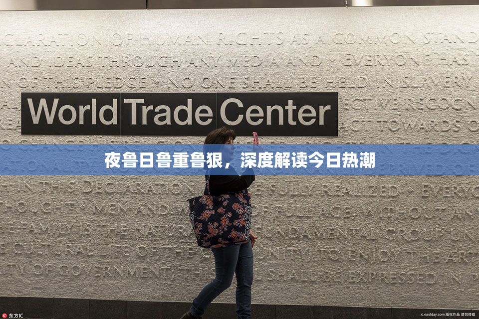 夜鲁日鲁重鲁狠，深度解读今日热潮