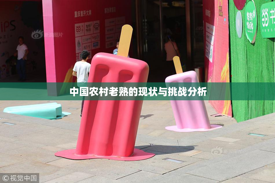 中国农村老熟的现状与挑战分析
