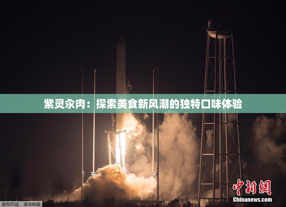 紫灵汆肉：探索美食新风潮的独特口味体验