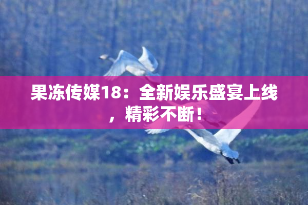 果冻传媒18：全新娱乐盛宴上线，精彩不断！