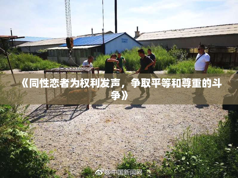 《同性恋者为权利发声，争取平等和尊重的斗争》