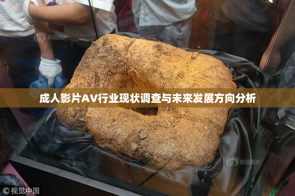 成人影片AV行业现状调查与未来发展方向分析