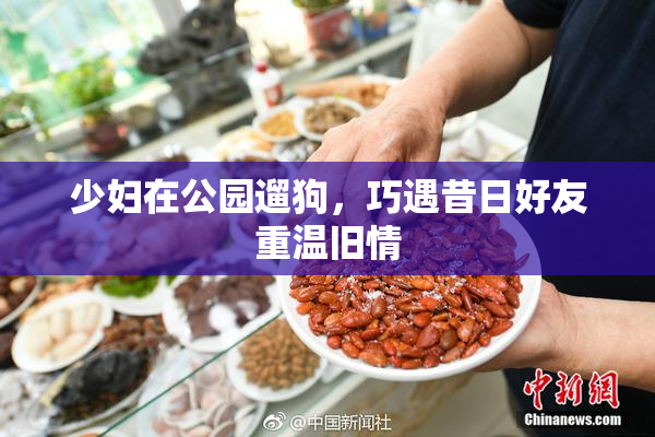 少妇在公园遛狗，巧遇昔日好友重温旧情