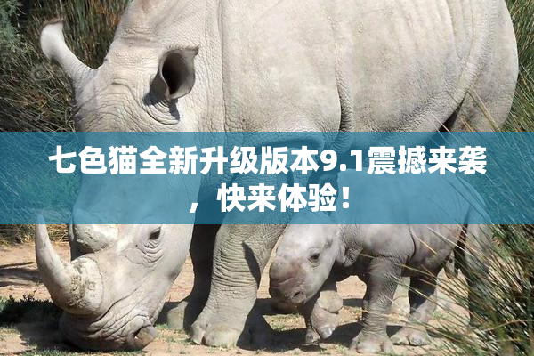 七色猫全新升级版本9.1震撼来袭，快来体验！
