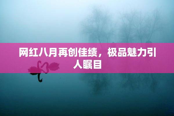 网红八月再创佳绩，极品魅力引人瞩目
