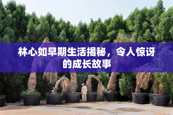林心如早期生活揭秘，令人惊讶的成长故事