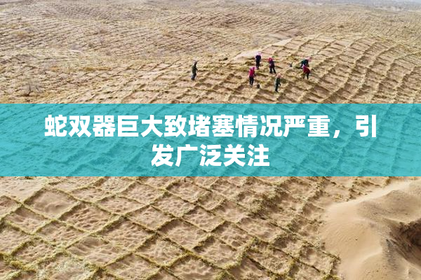 蛇双器巨大致堵塞情况严重，引发广泛关注