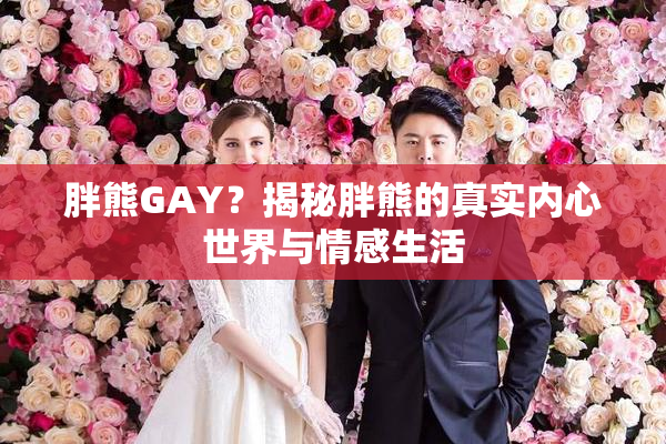 胖熊GAY？揭秘胖熊的真实内心世界与情感生活