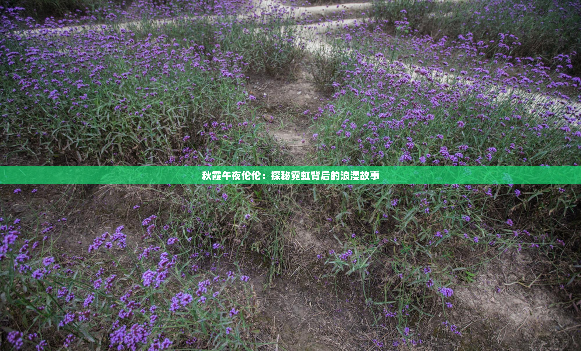 秋霞午夜伦伦：探秘霓虹背后的浪漫故事