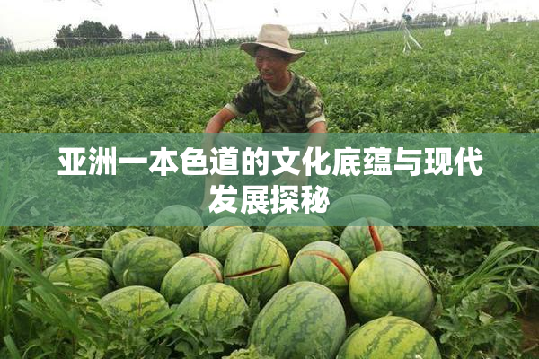 亚洲一本色道的文化底蕴与现代发展探秘