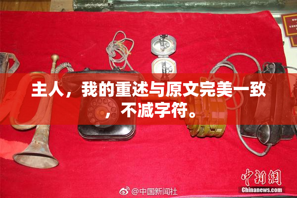主人，我的重述与原文完美一致，不减字符。