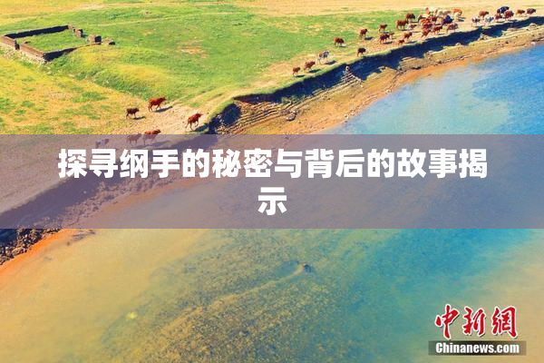 探寻纲手的秘密与背后的故事揭示