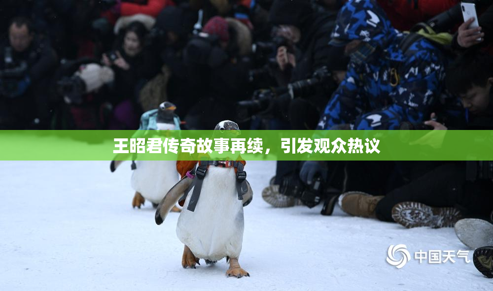 王昭君传奇故事再续，引发观众热议