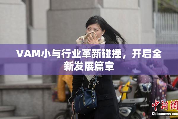 VAM小与行业革新碰撞，开启全新发展篇章
