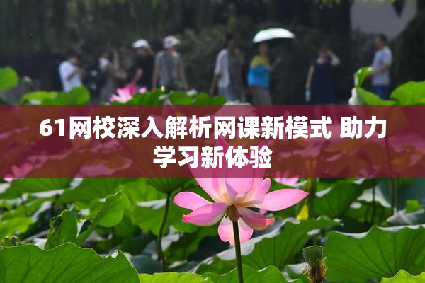 61网校深入解析网课新模式 助力学习新体验