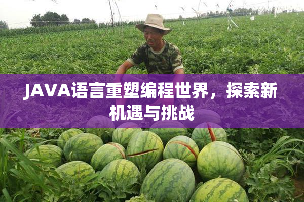 JAVA语言重塑编程世界，探索新机遇与挑战