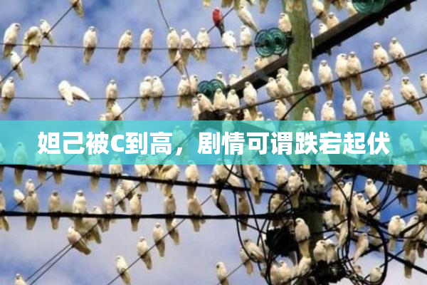 妲己被C到高，剧情可谓跌宕起伏