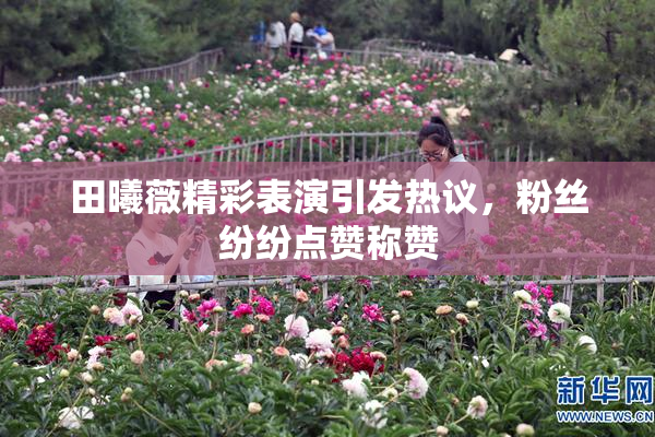 田曦薇精彩表演引发热议，粉丝纷纷点赞称赞