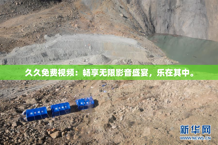久久免费视频：畅享无限影音盛宴，乐在其中。