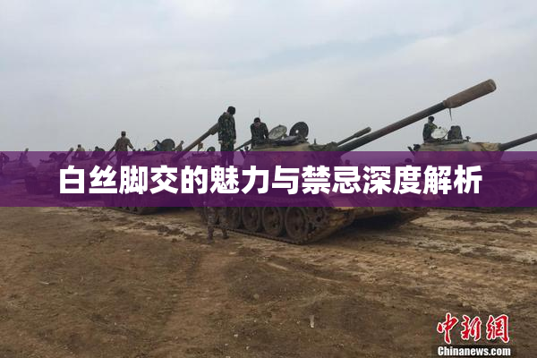 白丝脚交的魅力与禁忌深度解析