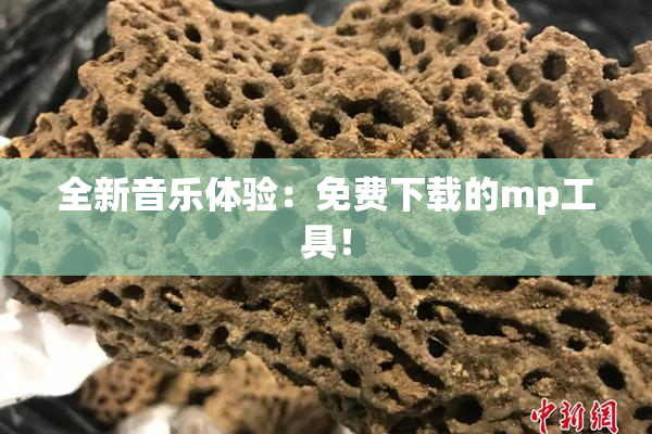 全新音乐体验：免费下载的mp工具！