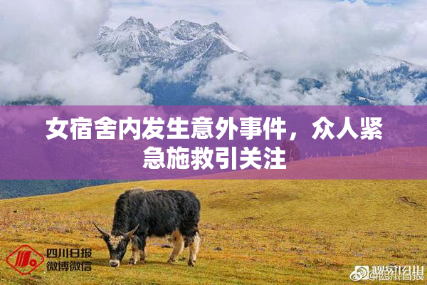 女宿舍内发生意外事件，众人紧急施救引关注