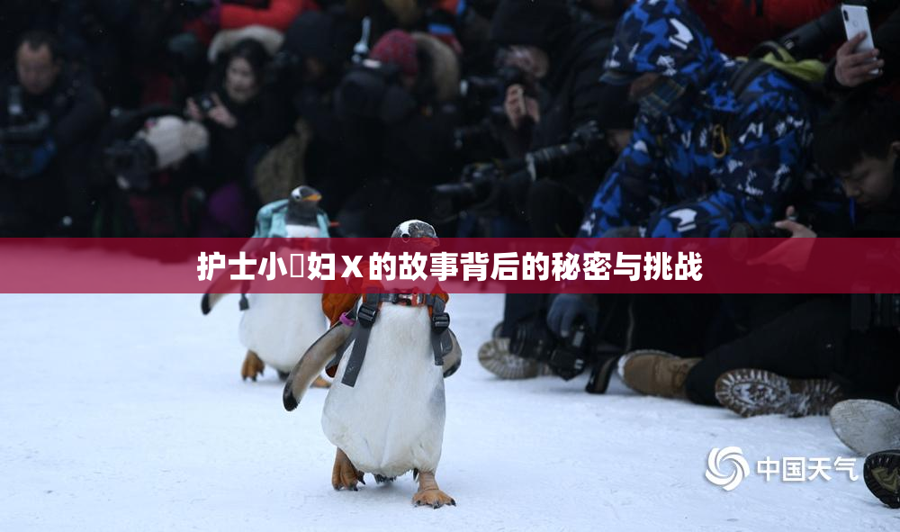 护士小婬妇Ⅹ的故事背后的秘密与挑战