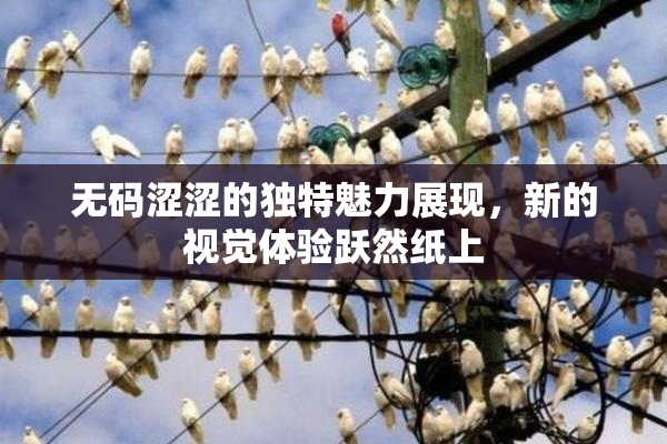 无码涩涩的独特魅力展现，新的视觉体验跃然纸上