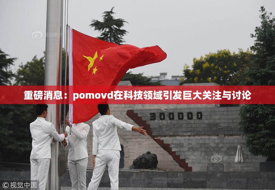 重磅消息：pomovd在科技领域引发巨大关注与讨论