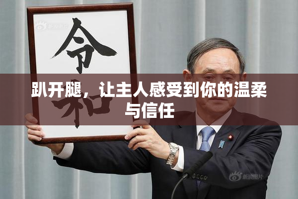 趴开腿，让主人感受到你的温柔与信任