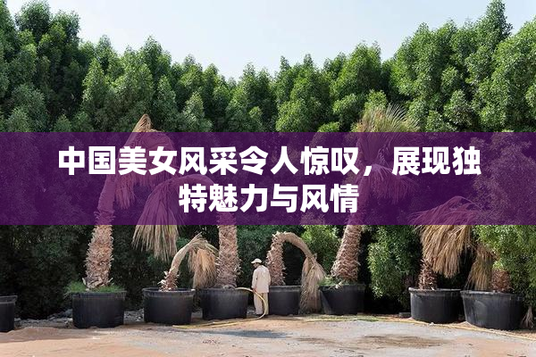 中国美女风采令人惊叹，展现独特魅力与风情