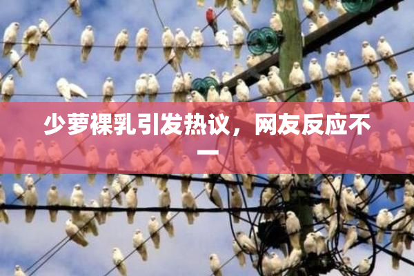 少萝裸乳引发热议，网友反应不一