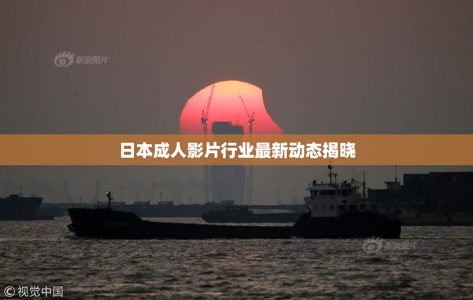 日本成人影片行业最新动态揭晓