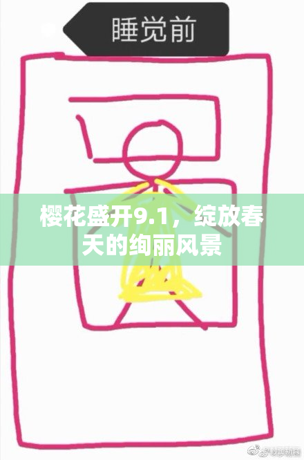 樱花盛开9.1，绽放春天的绚丽风景