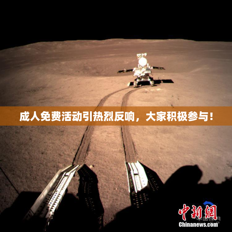 成人免费活动引热烈反响，大家积极参与！