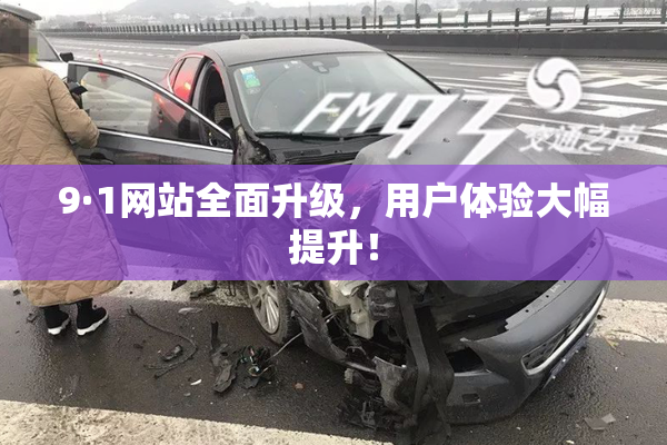 9·1网站全面升级，用户体验大幅提升！