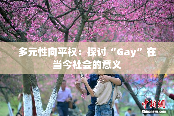 多元性向平权：探讨“Gay”在当今社会的意义