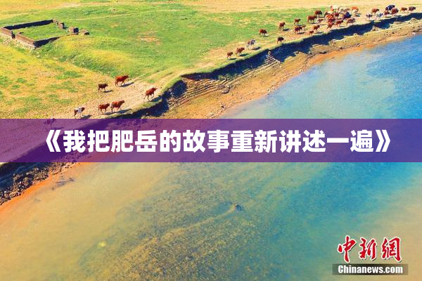 《我把肥岳的故事重新讲述一遍》