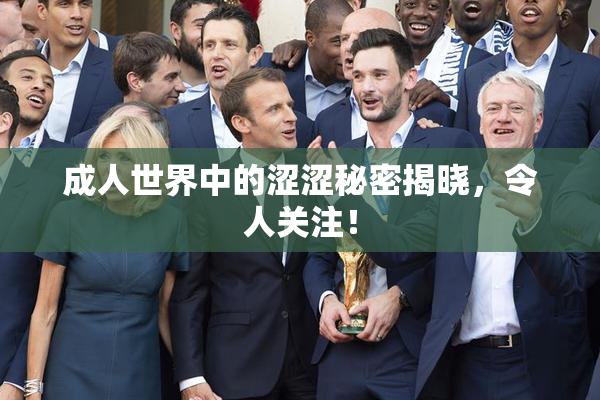 成人世界中的涩涩秘密揭晓，令人关注！